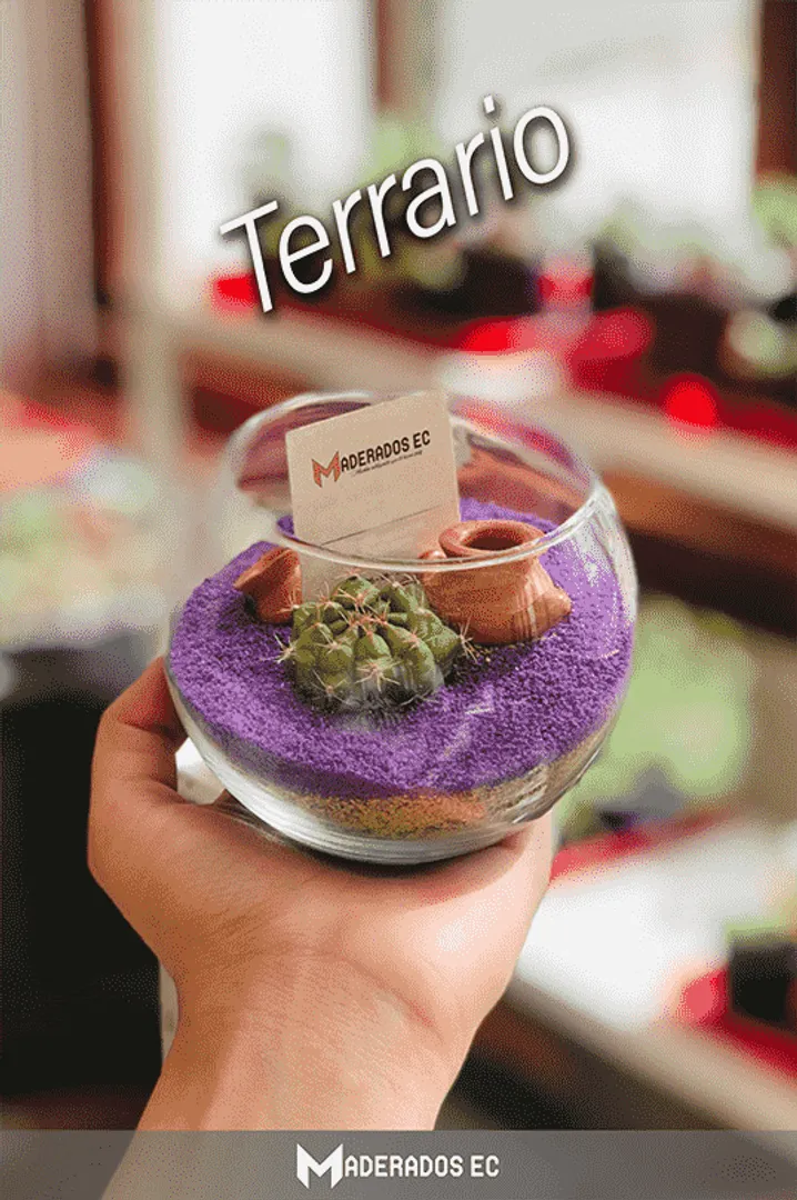 Centro - modelo Pinner 55"