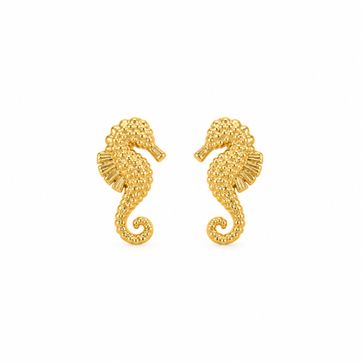 Imagen del producto Arete Seahorse
