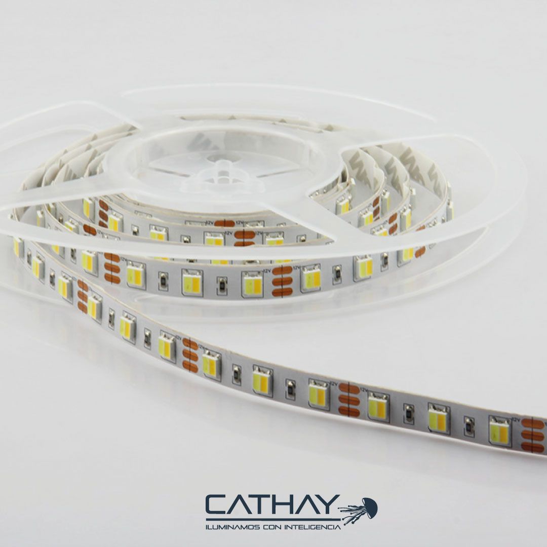 CINTA LED DUAL WW/W 24V/14W