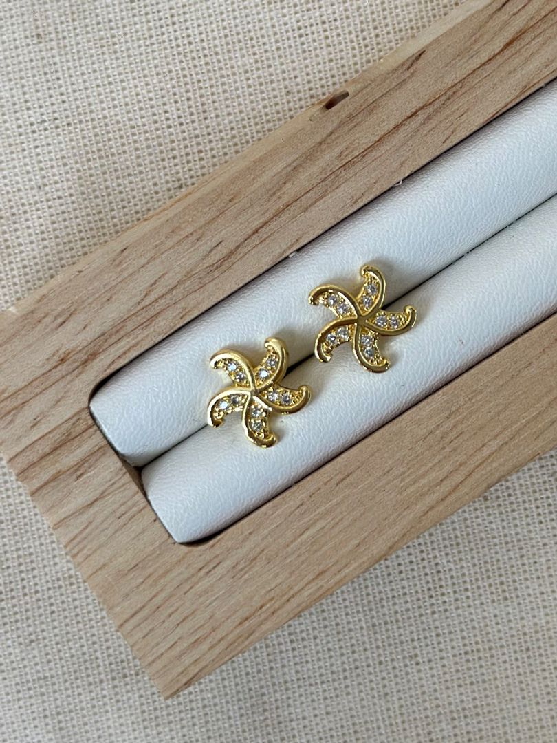 Topo estrella de mar 