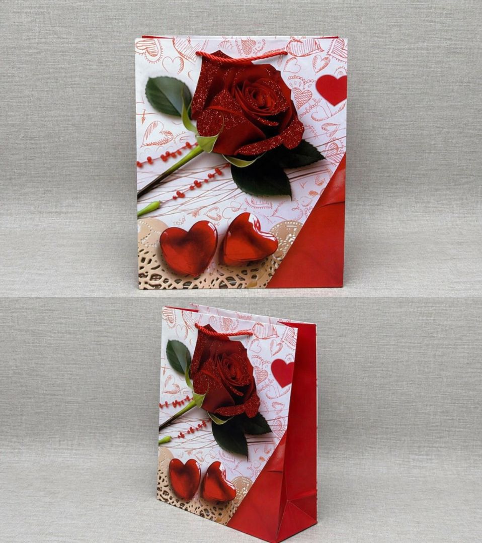 BOLSA DE REGALO SURTIDA 24X18 CM