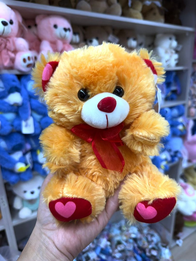 OSO ANCHETERO ANIMALES Y OSOS