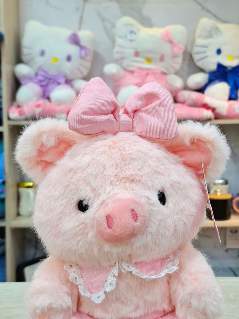 CERDO VEST ROSADO 22CM 