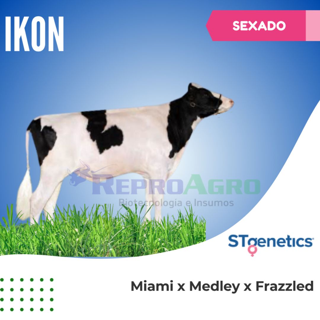 IKON SEXADO
