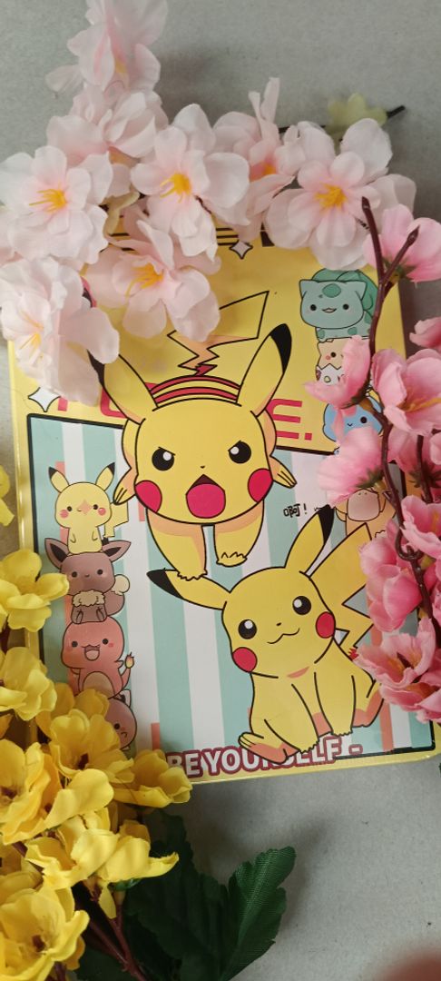 Agenda pasta dura Pokémon 