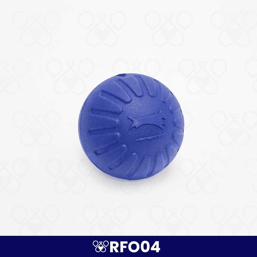 RFO04