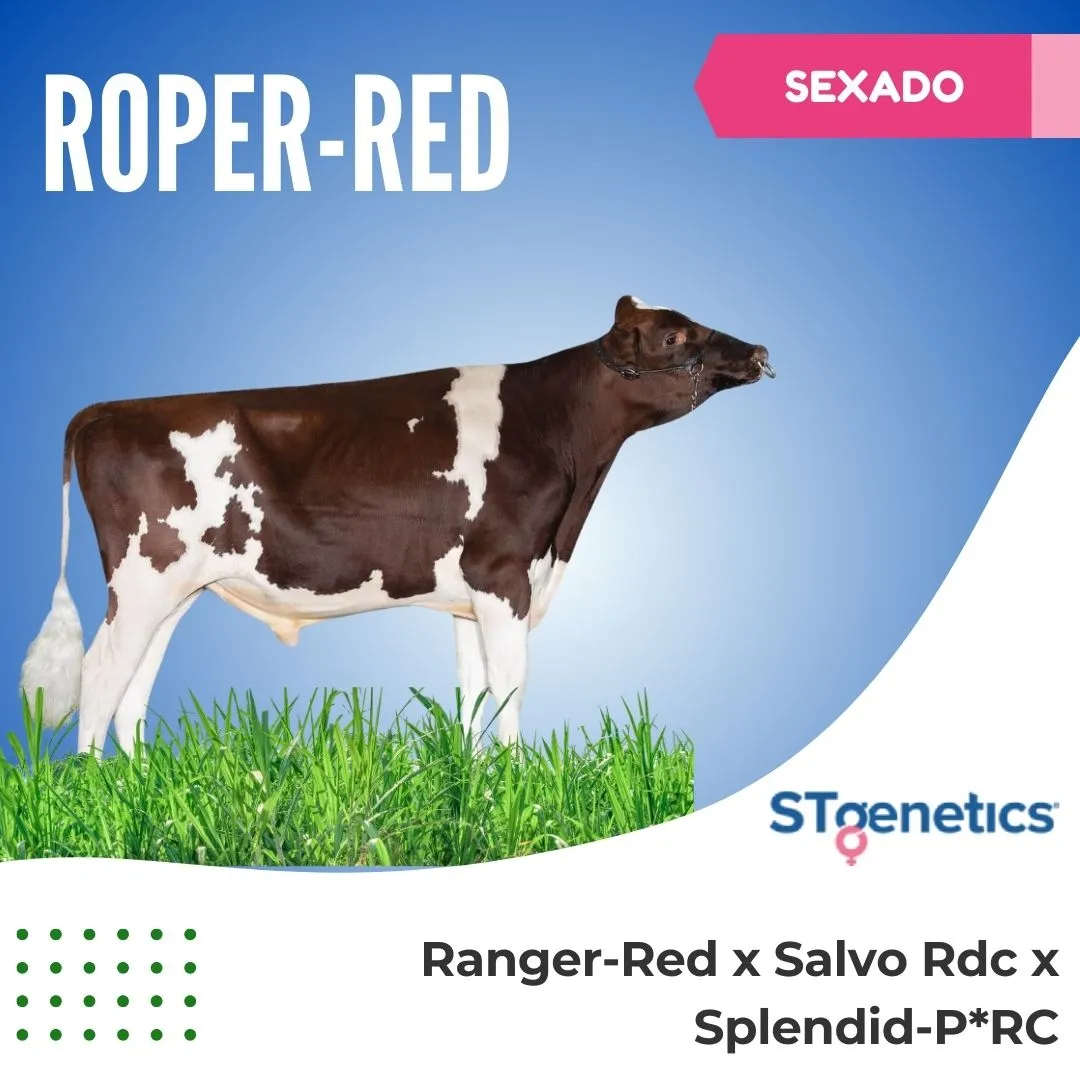ROPER-RED SEXADO