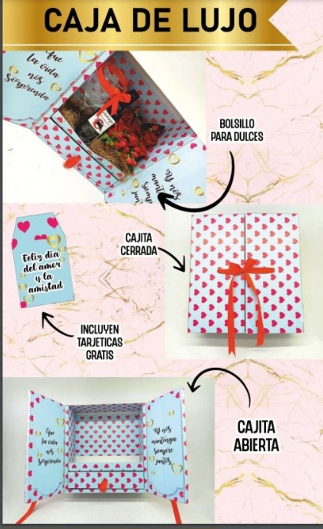 CAJA LUJO HC