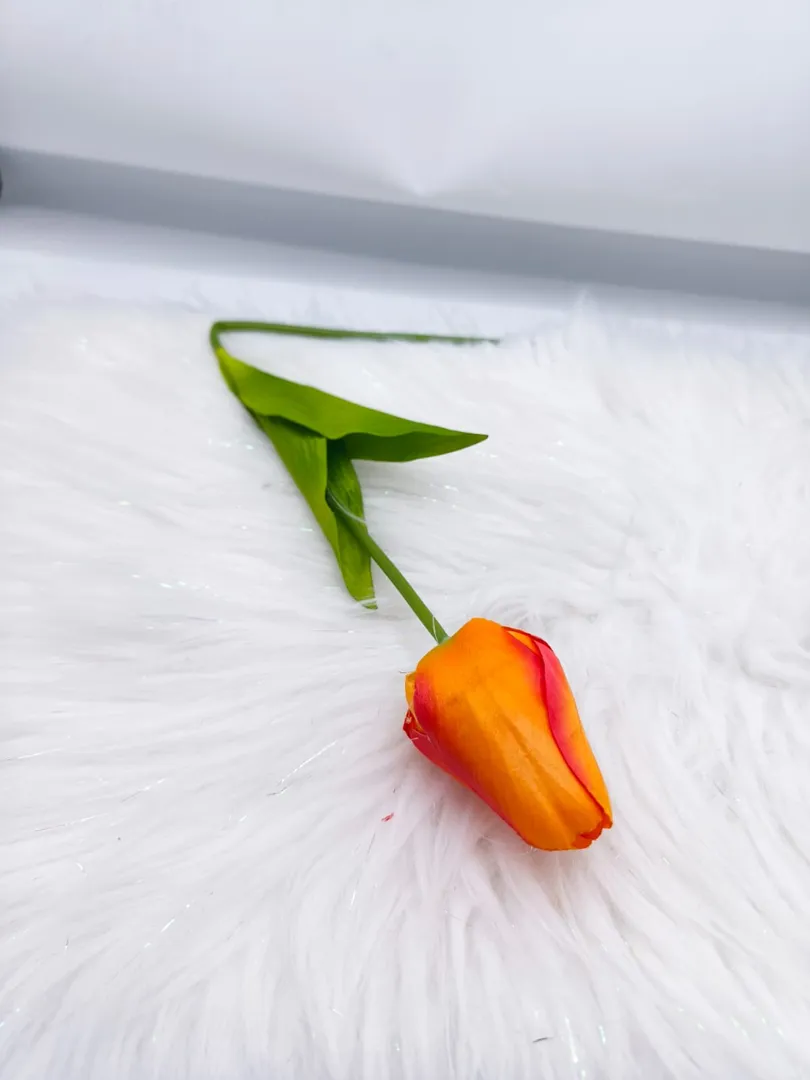 TULIPAN INDIVIDUAL PM537 