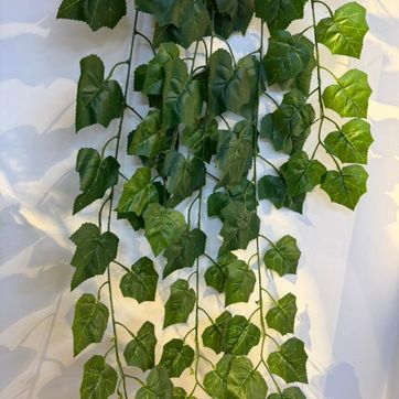 Imagen del producto COLGANTE DE HIEDRA O UVA X 11 VARAS