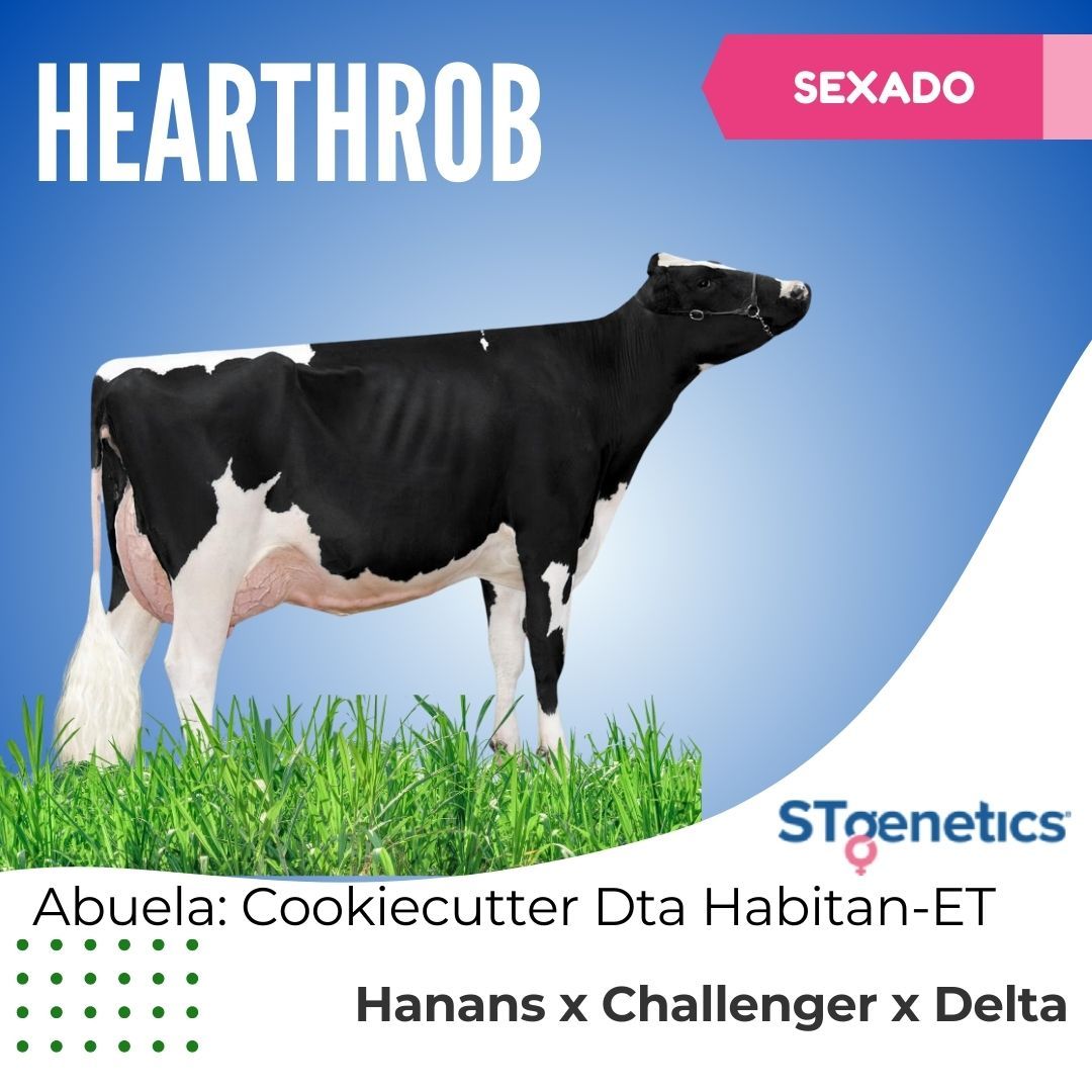 HEARTHROB SEXADO