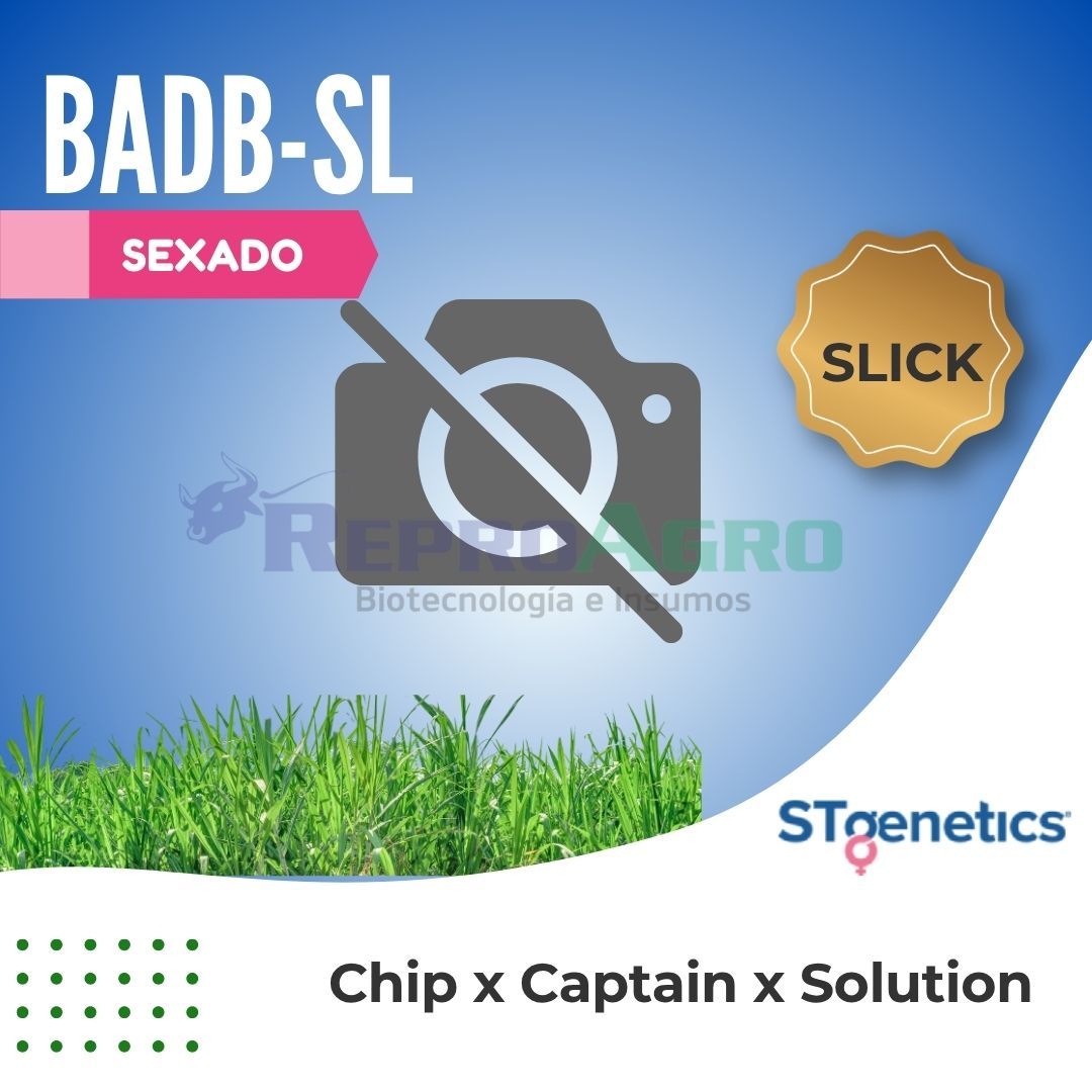 BADB-SL SEXADO