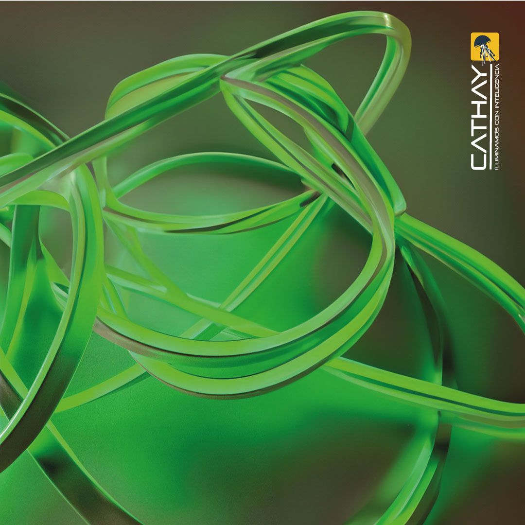 NEON DOBLE FAZ x METRO 11