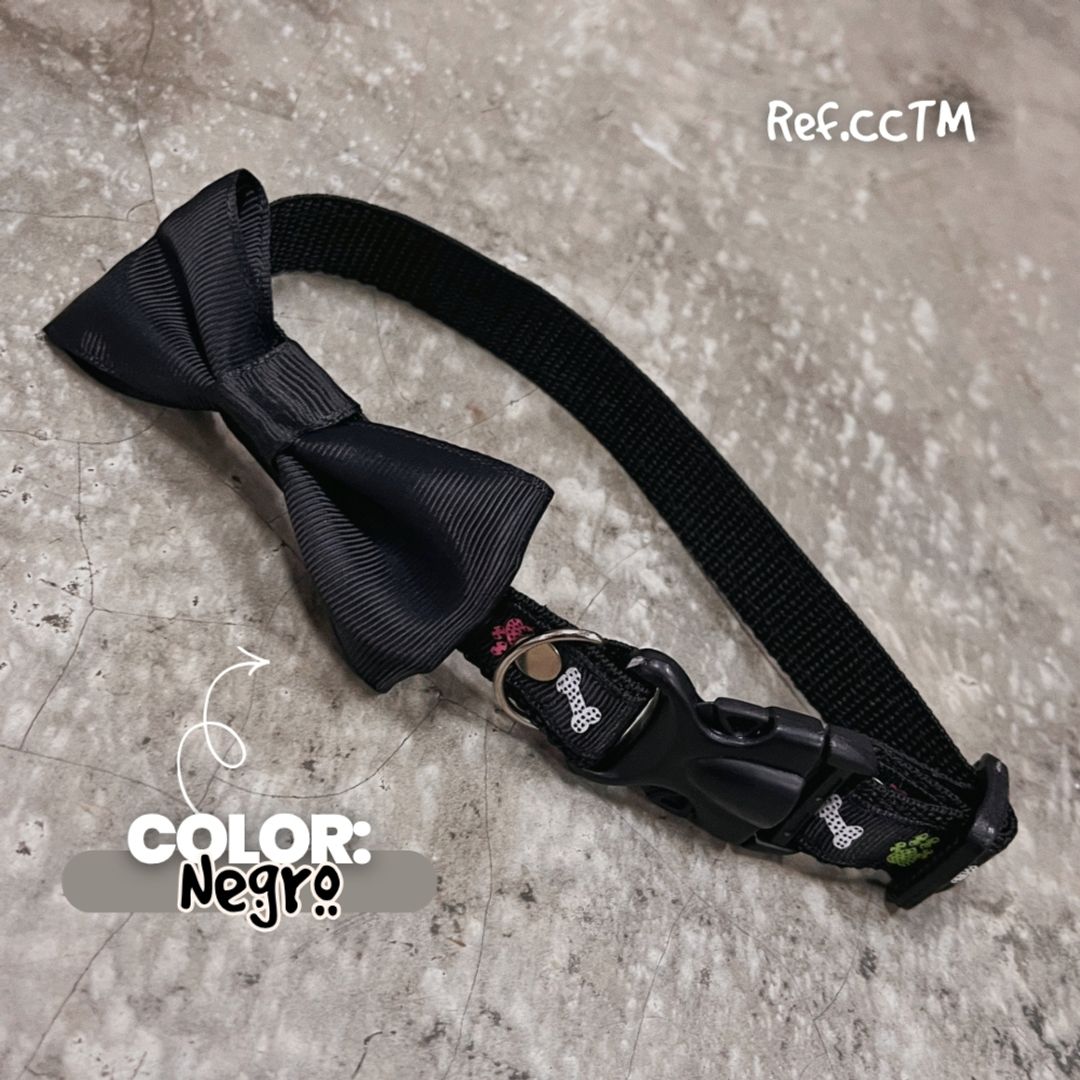 CCTM