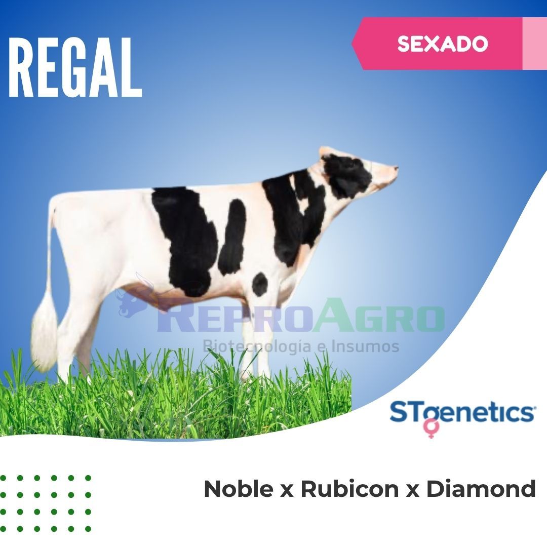 REGAL SEXADO