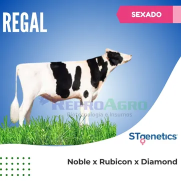 REGAL SEXADO - imagen 1