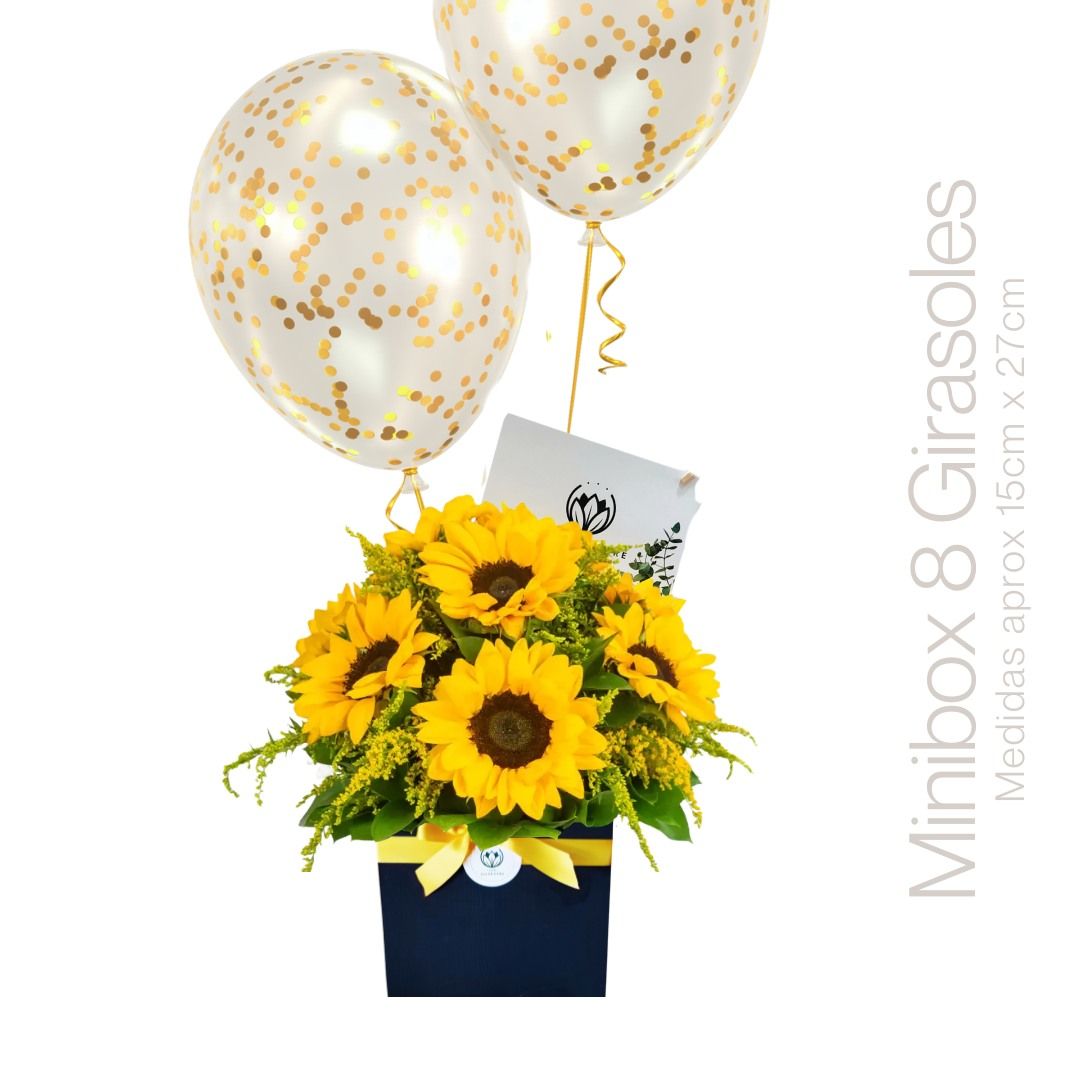 BOX ESPECIAL GIRASOLES 