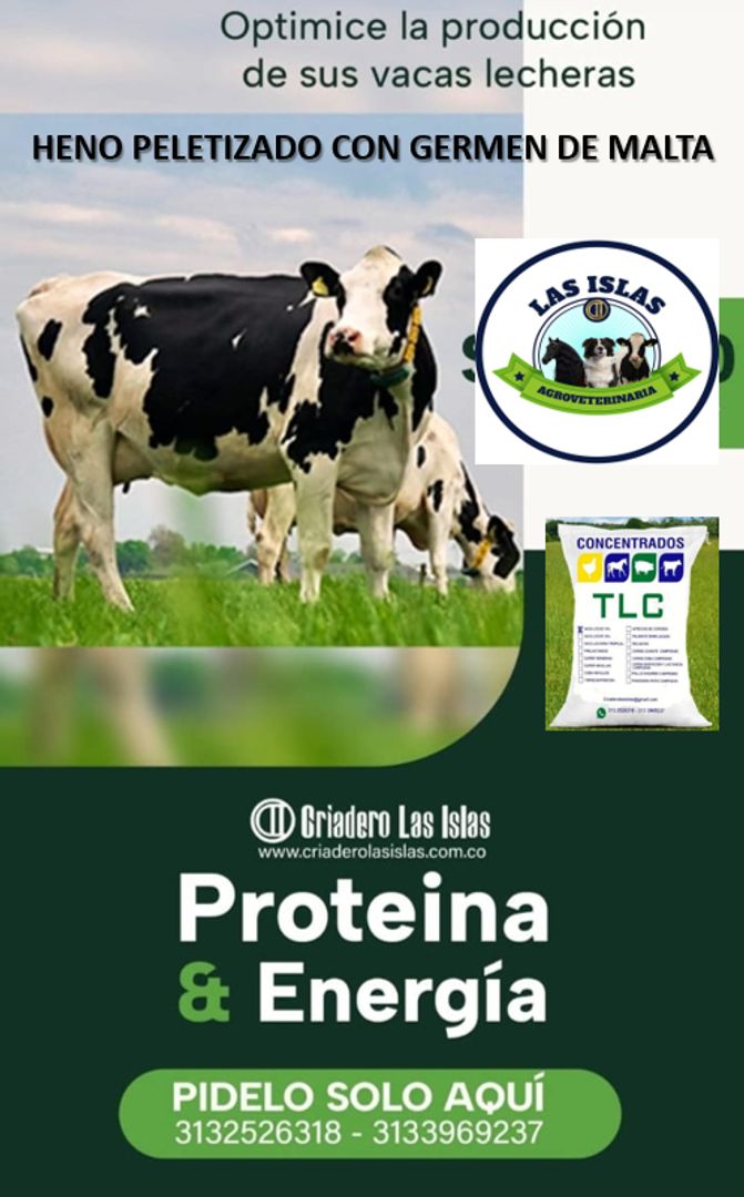 HENO PELETIZADO CON GERMEN DE MALTA PARA VACAS DE LECHE
