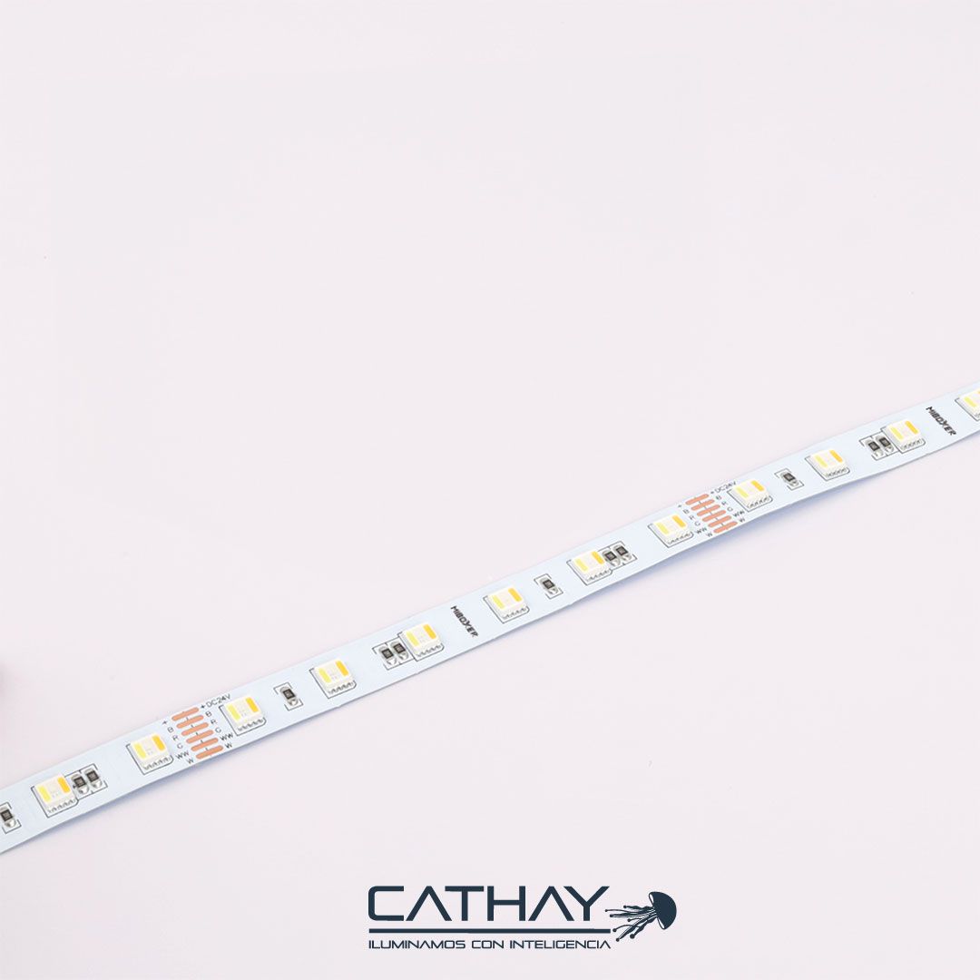 CINTA LED SMART RGB+CCT SILICONADA