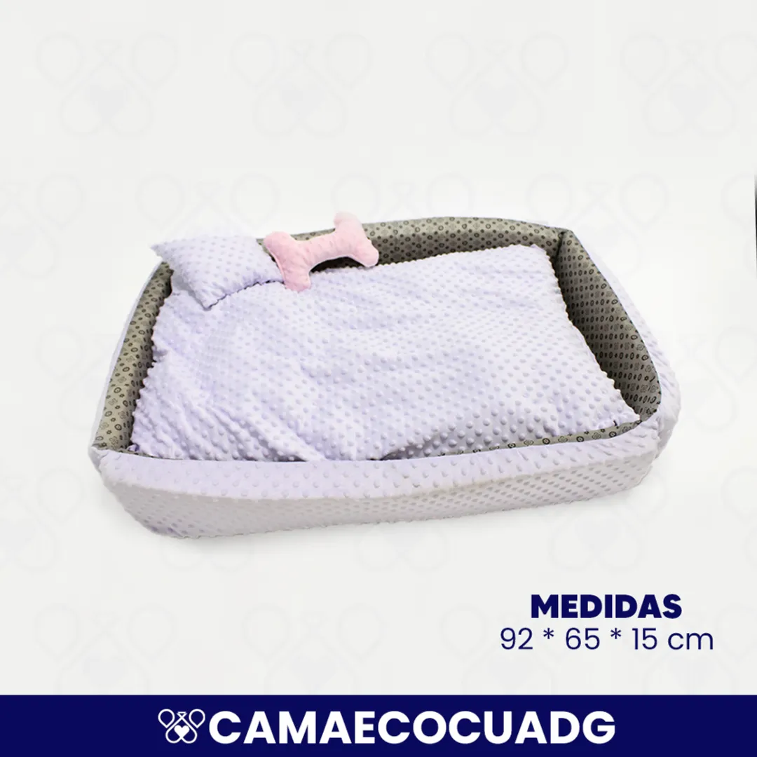CAMAECOCUADG
