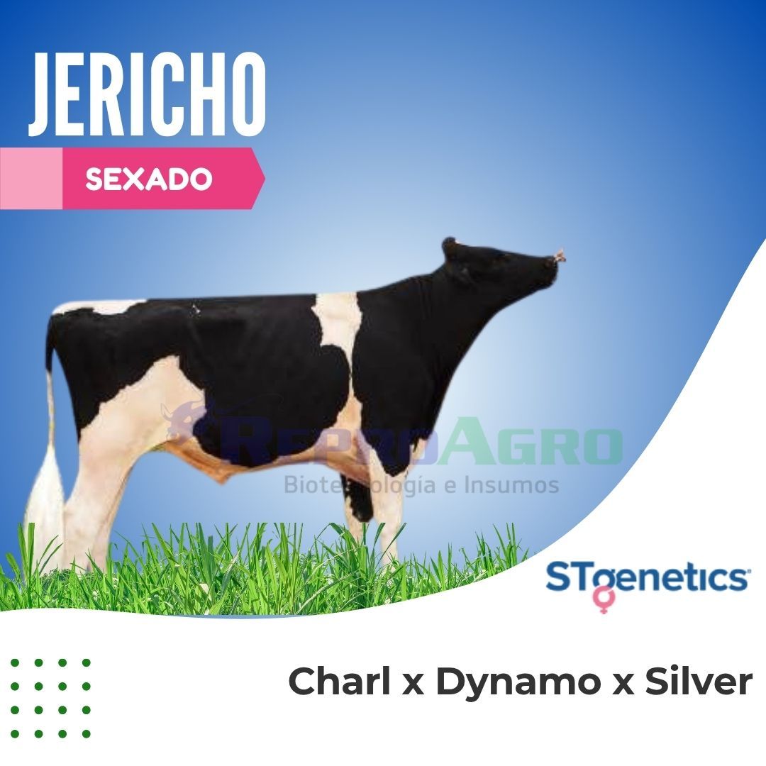 JERICHO SEXADO