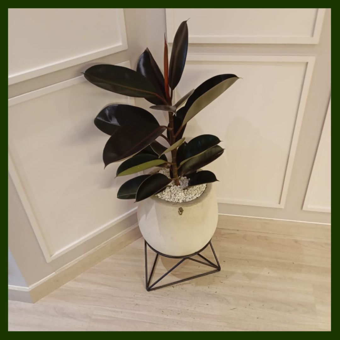 SOPORTE METALICO 20CM (Negro)