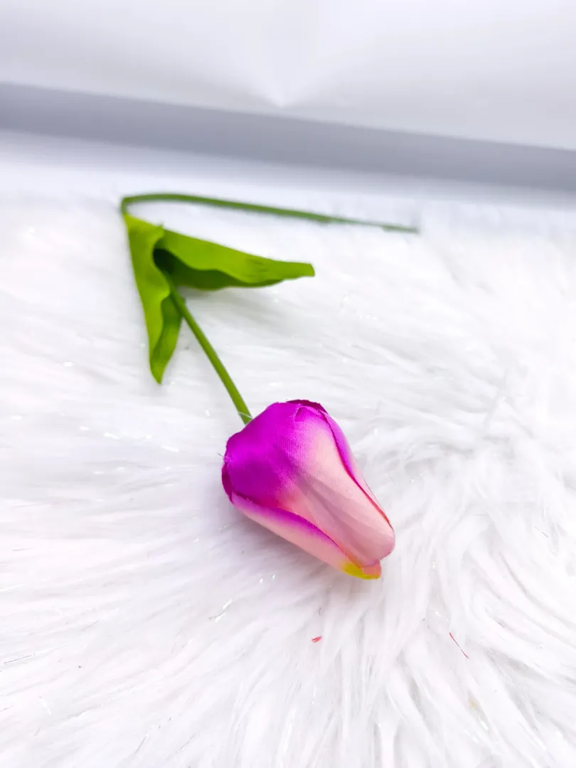TULIPAN INDIVIDUAL PM537 