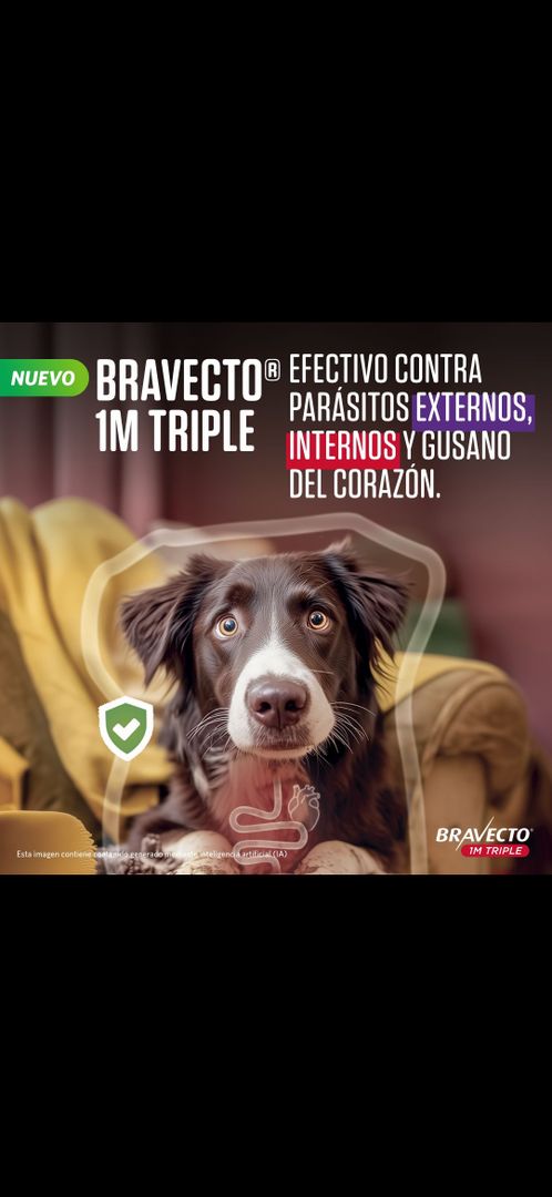 Bravecto 