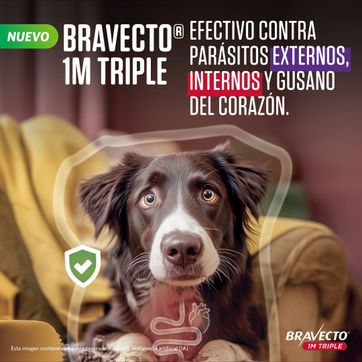 Bravecto  - imagen 1
