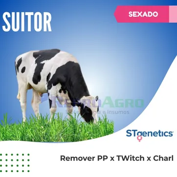 SUITOR SEXADO - imagen 1