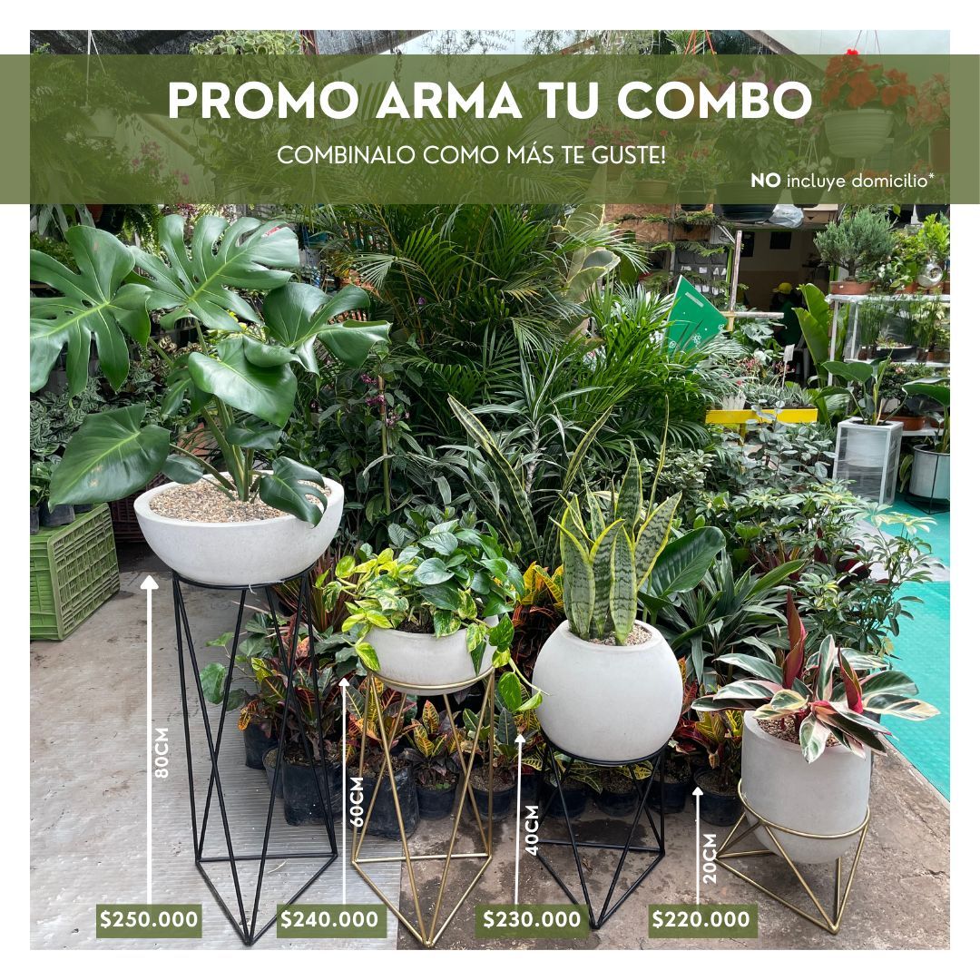 PROMO ARMA TU COMBO SOPORTES  
