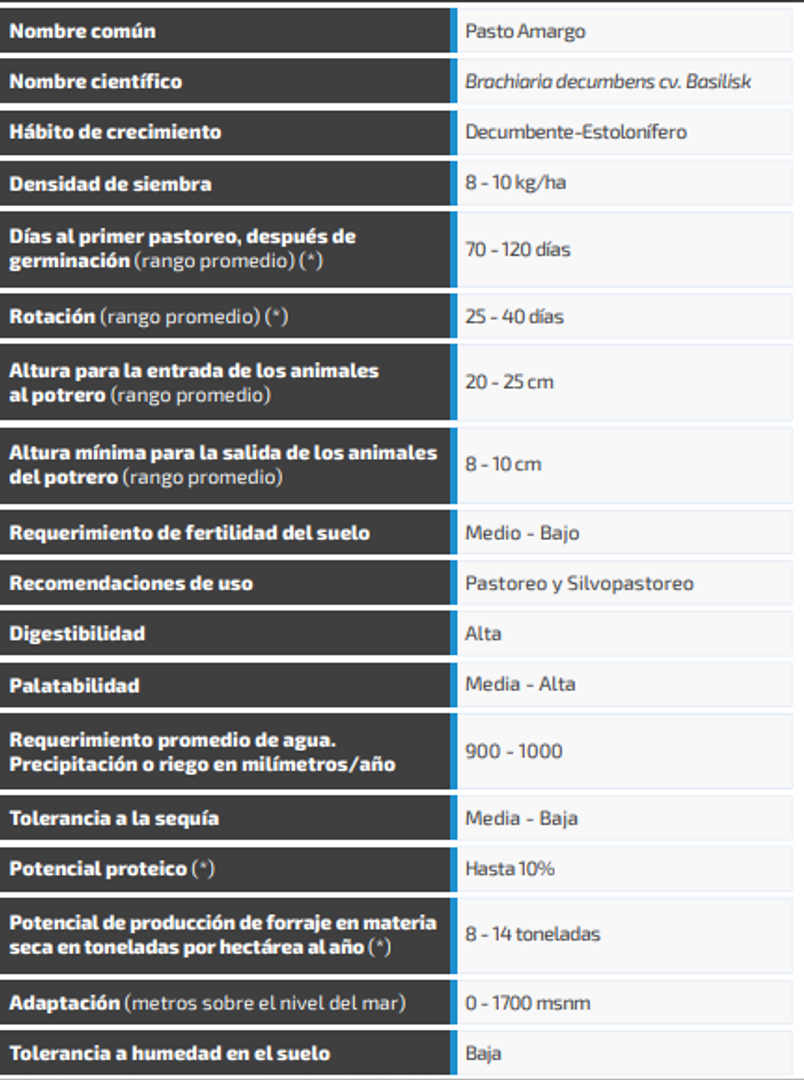 Brachiaria Decumbens Basilisk (Incrustada) x Kg
