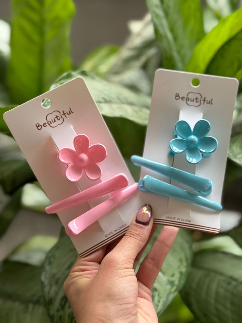 CLIPS + FLOR