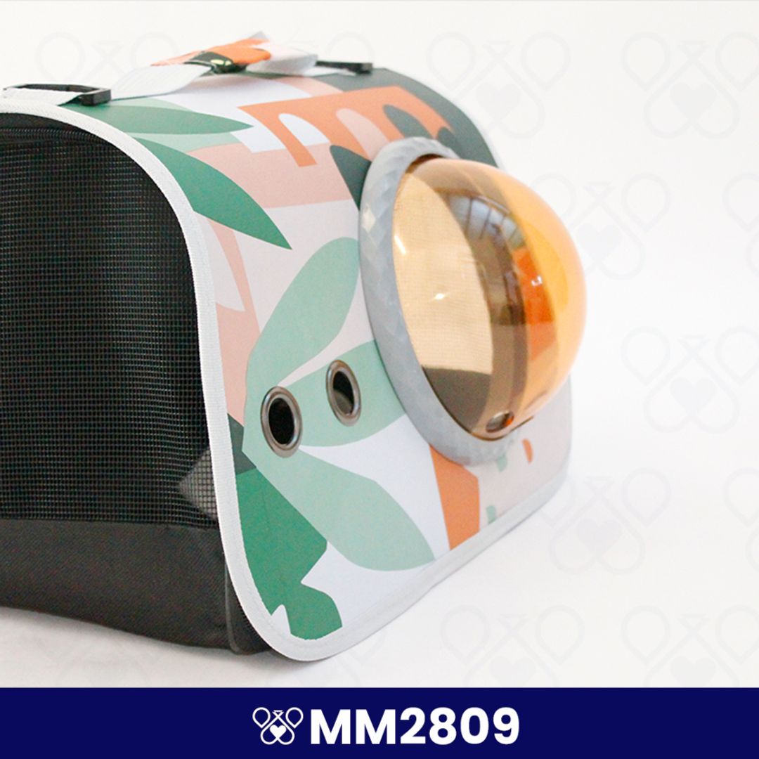 MM2809