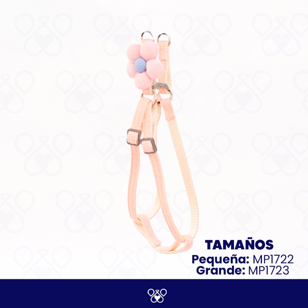 MP172-