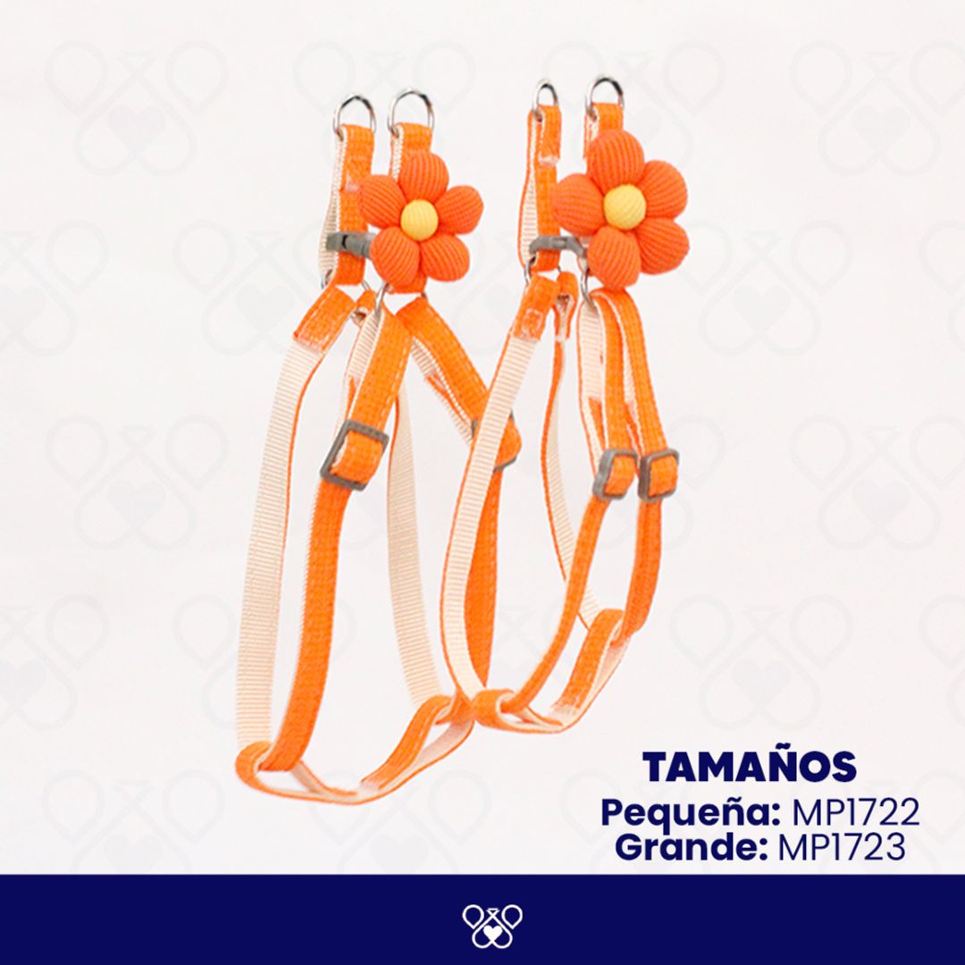 MP172-