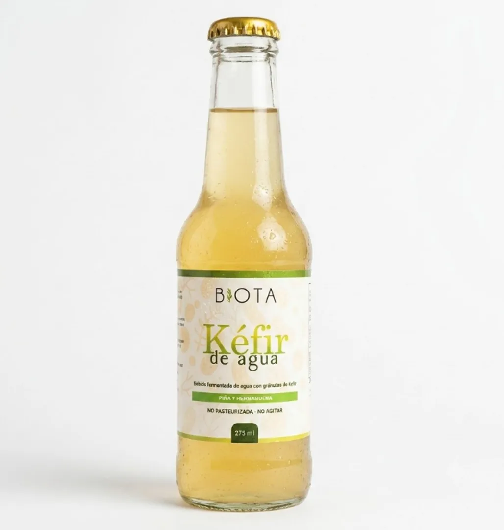 KEFIR PIÑA Y HIERBABUENA X 218ML