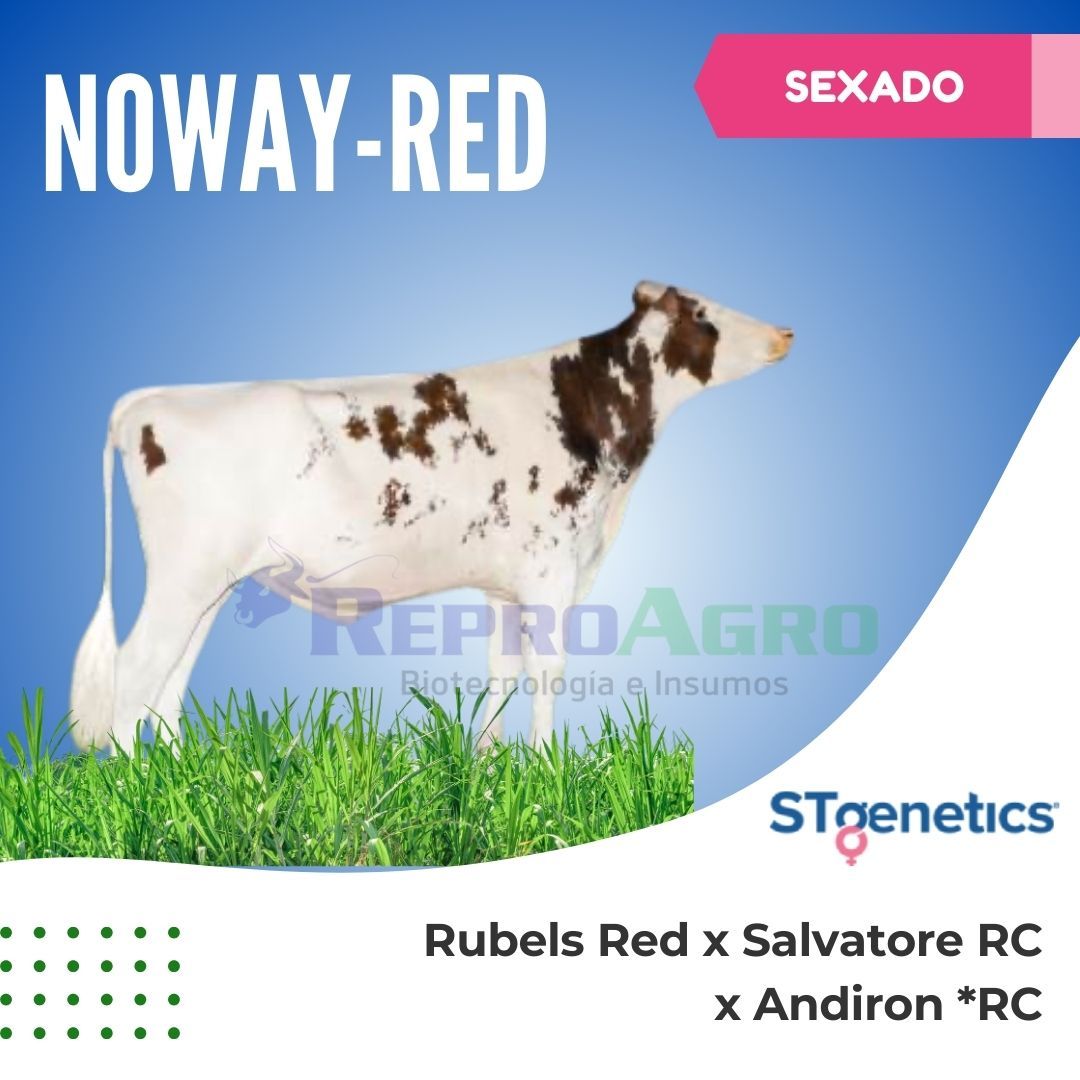 NOWAY RED SEXADO