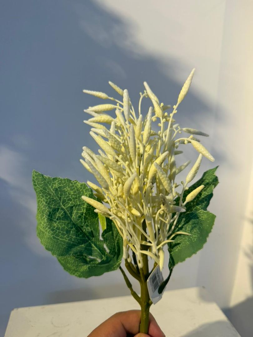 FOLLAJE BLANCO CON HOJA