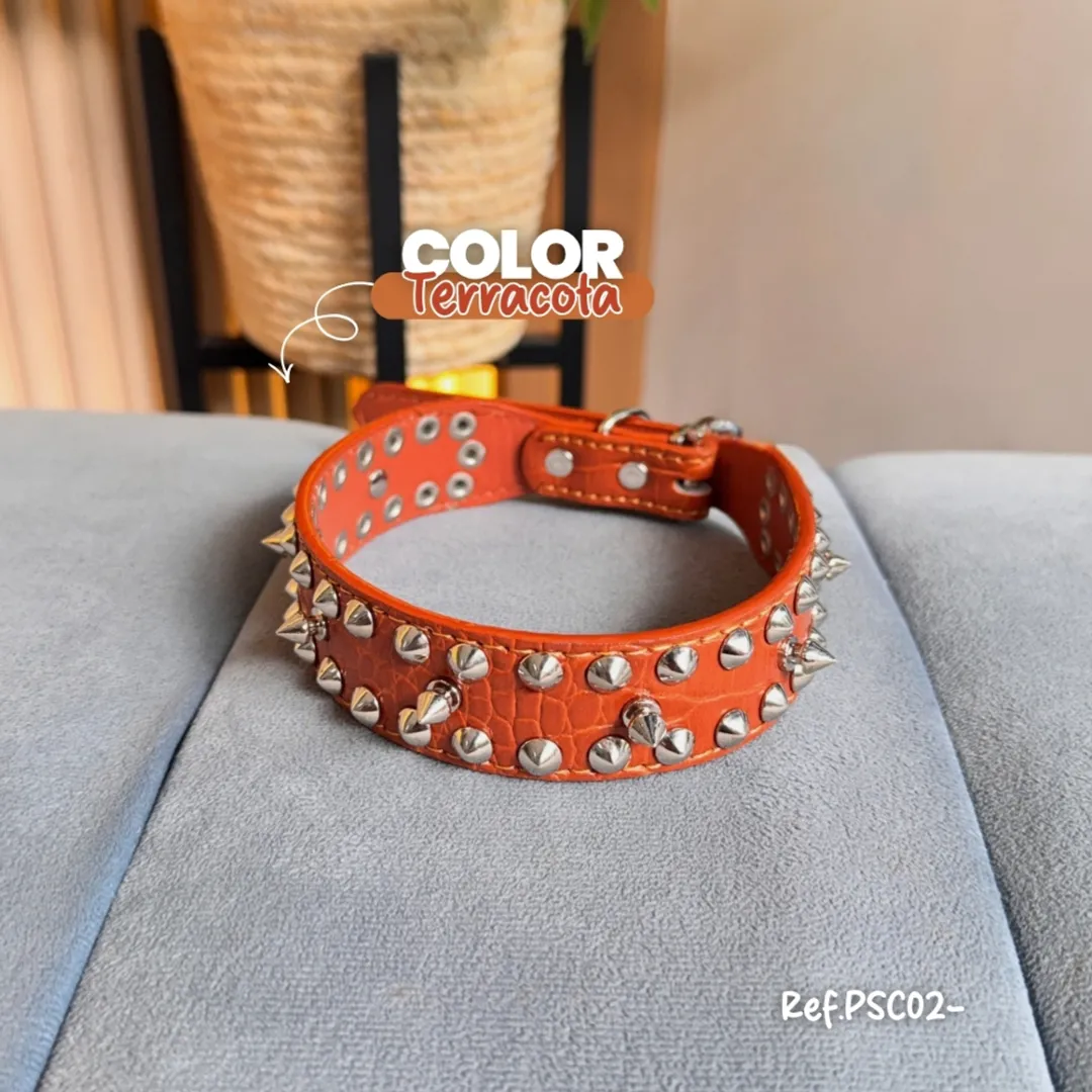 PSC02-