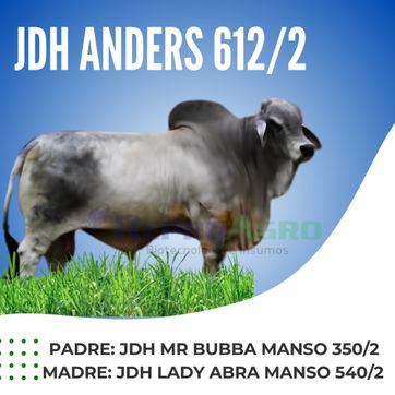 JDH ANDERS - imagen 1