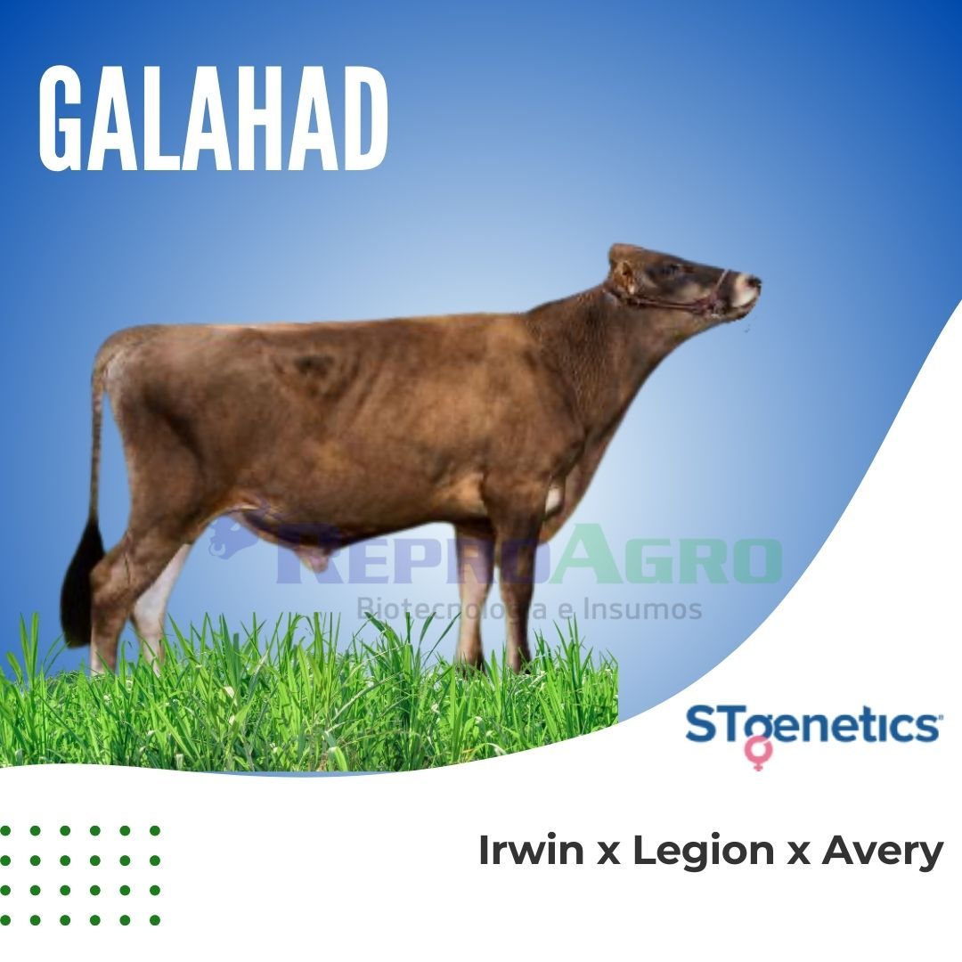 GALAHAD