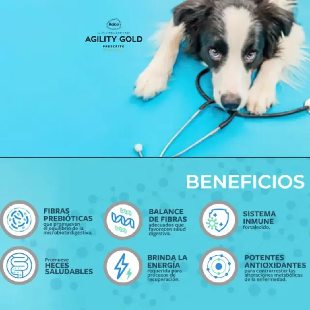 AGILITY ENTERICO LATA