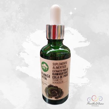 Imagen del producto Hongo Kawaratake (Cola de pavo)