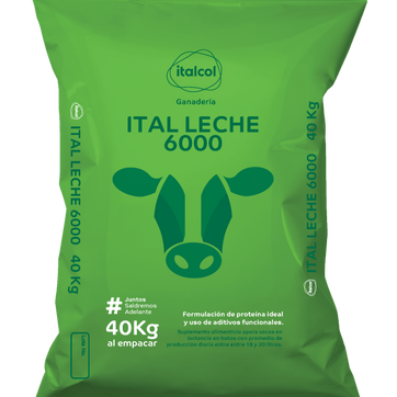 ITALCOL ITAL LECHE 6000 40 Kilos - imagen 1