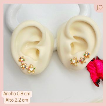 Imagen del producto Arete Escalador Micro circones 