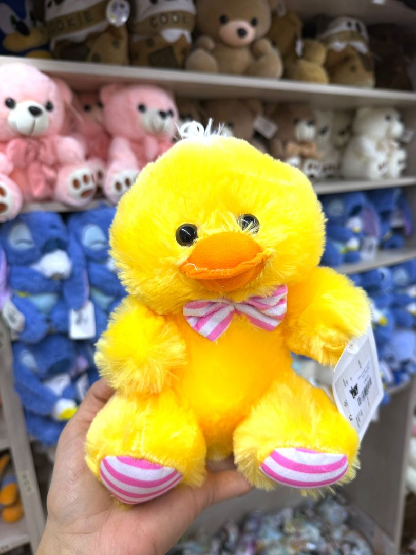 OSO ANCHETERO ANIMALES Y OSOS