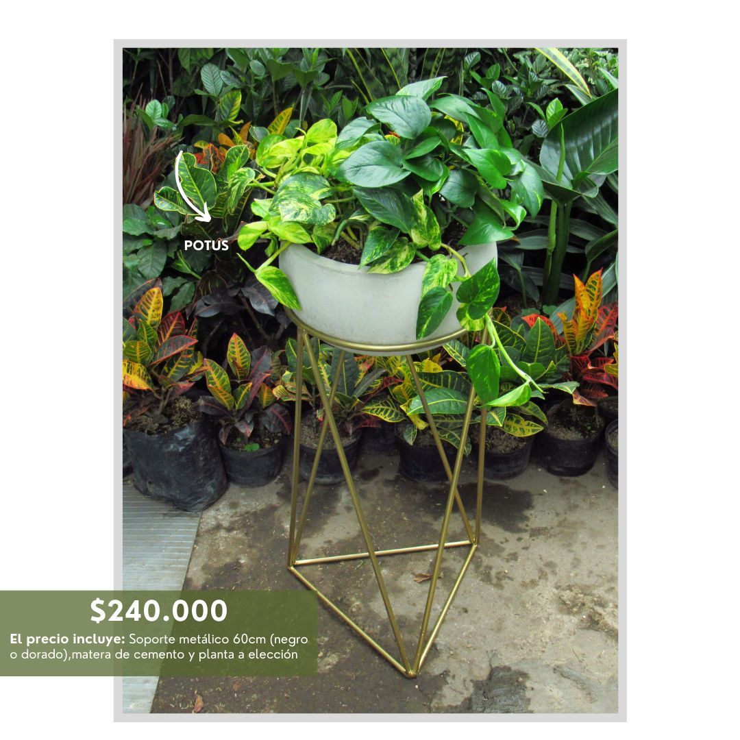 PROMO ARMA TU COMBO SOPORTES  