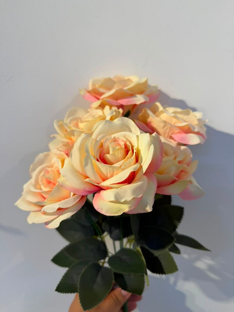 ROSA X 7 GRANDE SALMON