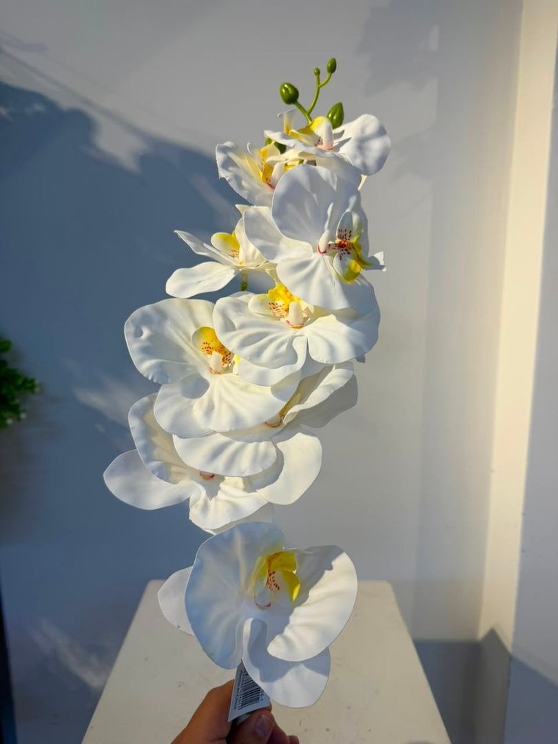 ORQUIDEA X 9 FLORES BLANCA CON AMARILLO